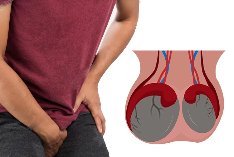 آیا کوچک بودن بیضه باعث ناباروری می‌شود؟ 