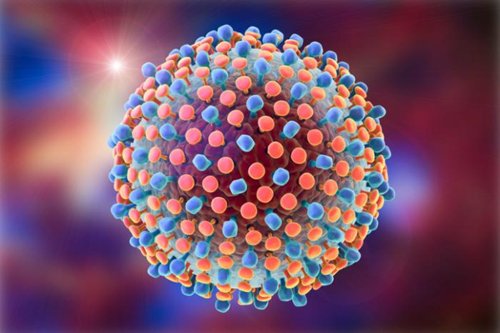 hepatitis-c-virus-iehe-ir