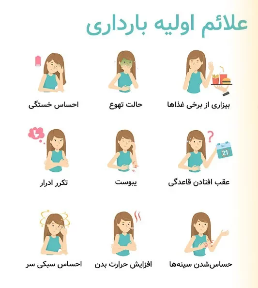 راهنمای کامل بارداری