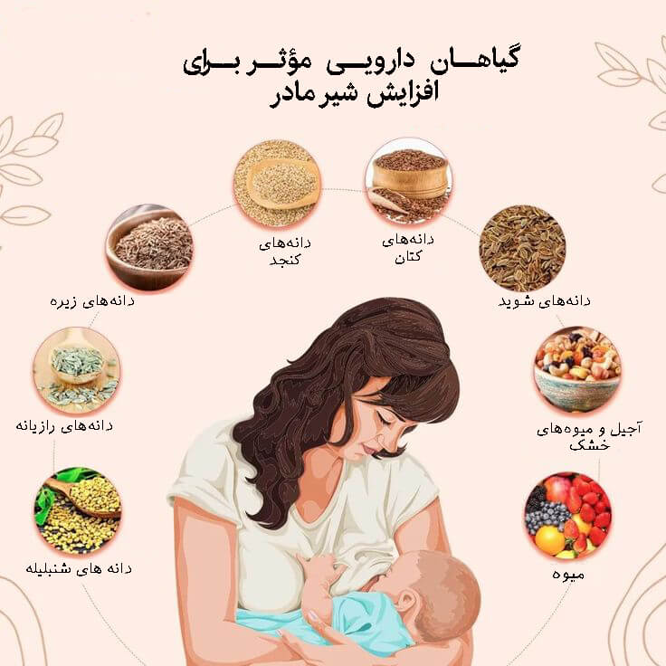 شیردهی موفق: راهنمای کامل فواید، روشها و چالشهای شیر مادر