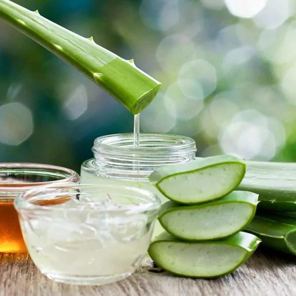 درمان خانگی جوش روی زبان با ژل آلوئه‌ورا