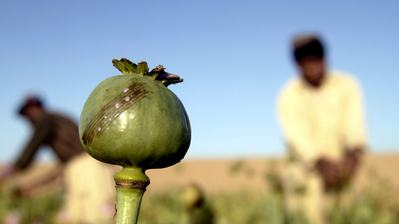 عوارض ترک تریاک