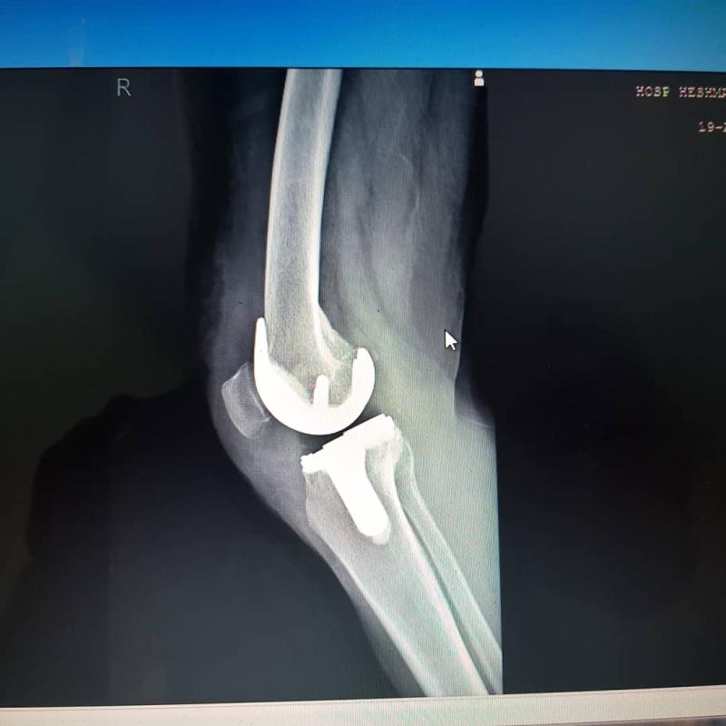 سید میلاد رنجبر - gallery