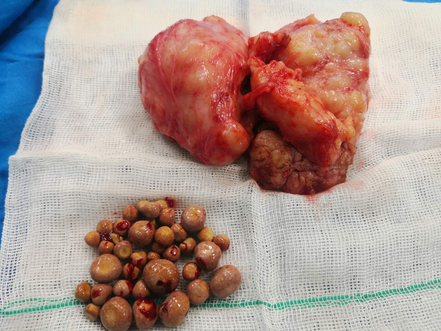 سعید صادق زاده - gallery