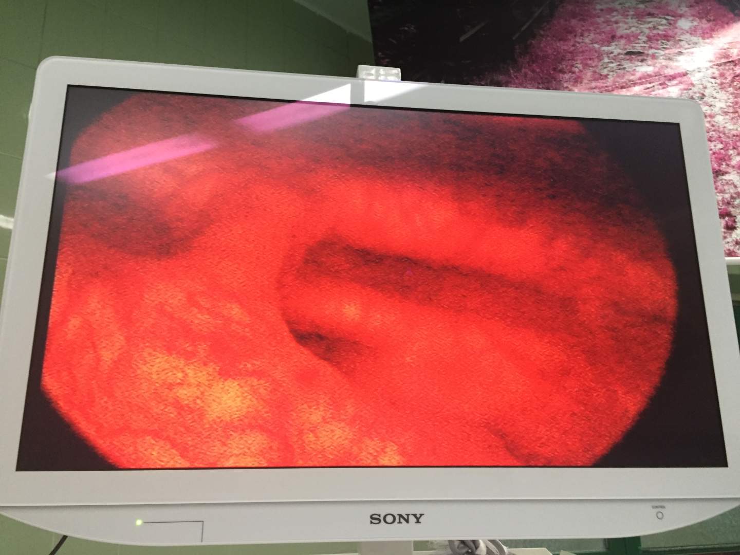 آذر دانش پژوه - gallery