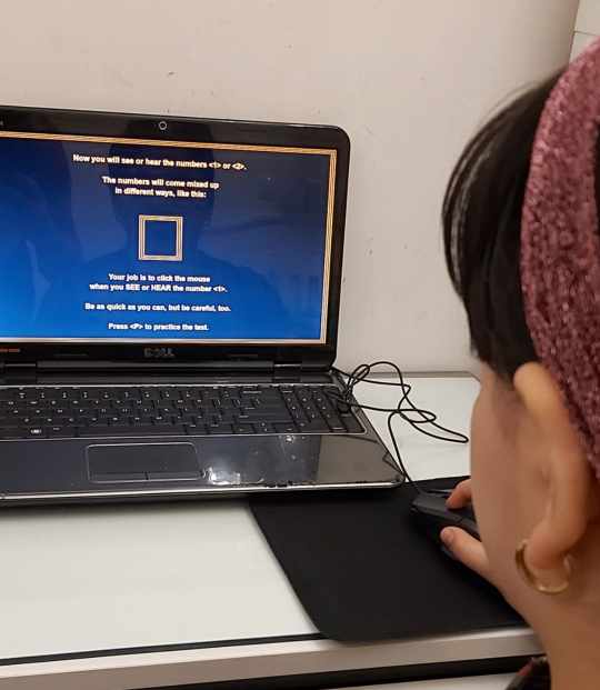 آمنه زردی نهر - gallery