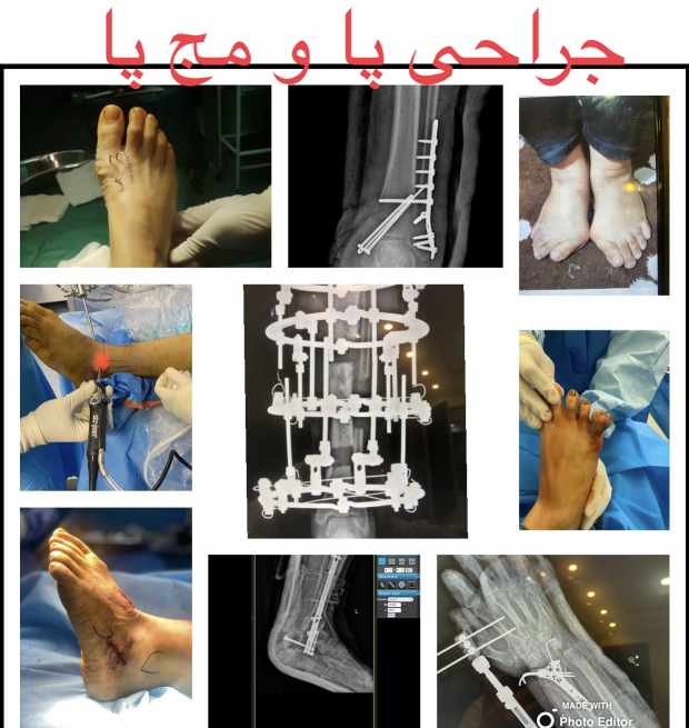 دکتر علیرضا صحرانورد - gallery