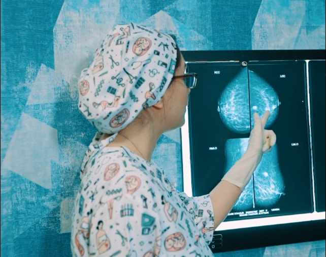 صفیه نوشی - gallery