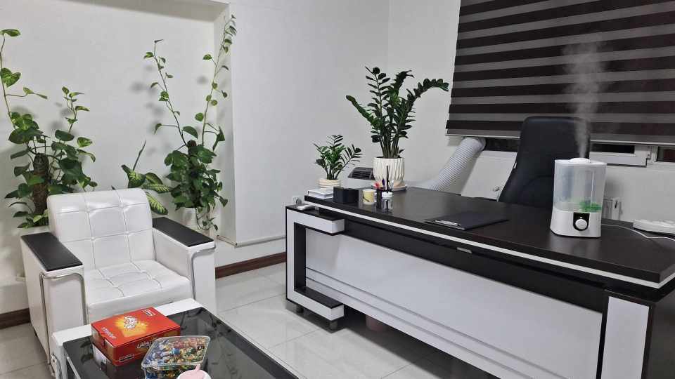 نسرین آینه چی  - gallery